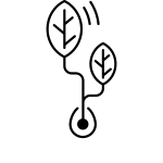 Signet_schwarz Gründen