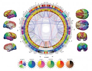 Diese Visualisierung zeigt Daten aus der Hirnforschung. Sie gewann zwar in der "2012 Brain-Art Competition", für ein journalistisches Medium wäre sie aber vermutlich zu komplex. Bild: Ars Electronica/Flickr