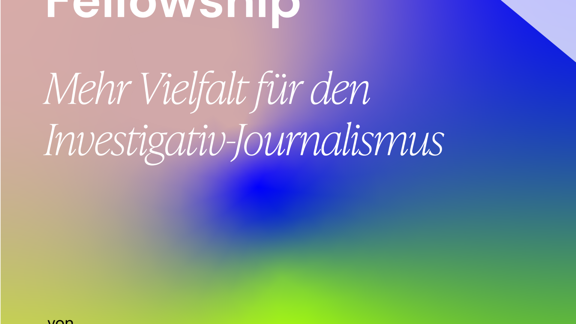 Ausschreibung: Fellowship-Programm „Vielfalt im Investigativjournalismus stärken“