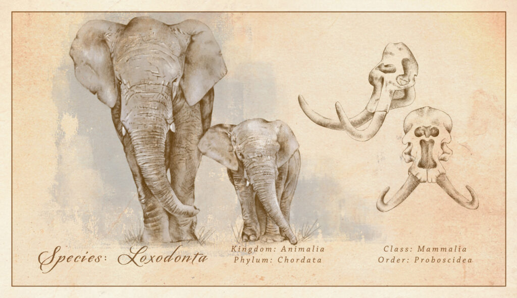 Ein Elefant und ein Elefantenjunges, illustriert auf vergilbtem Hintergrund.