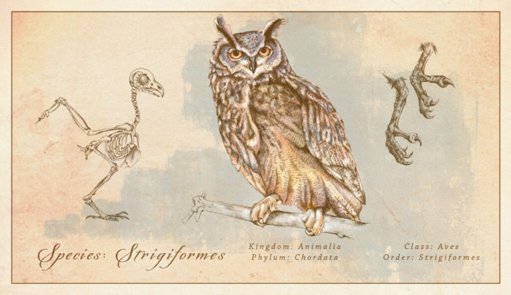 Illustration einer Eule auf vergilbtem Hintergrund