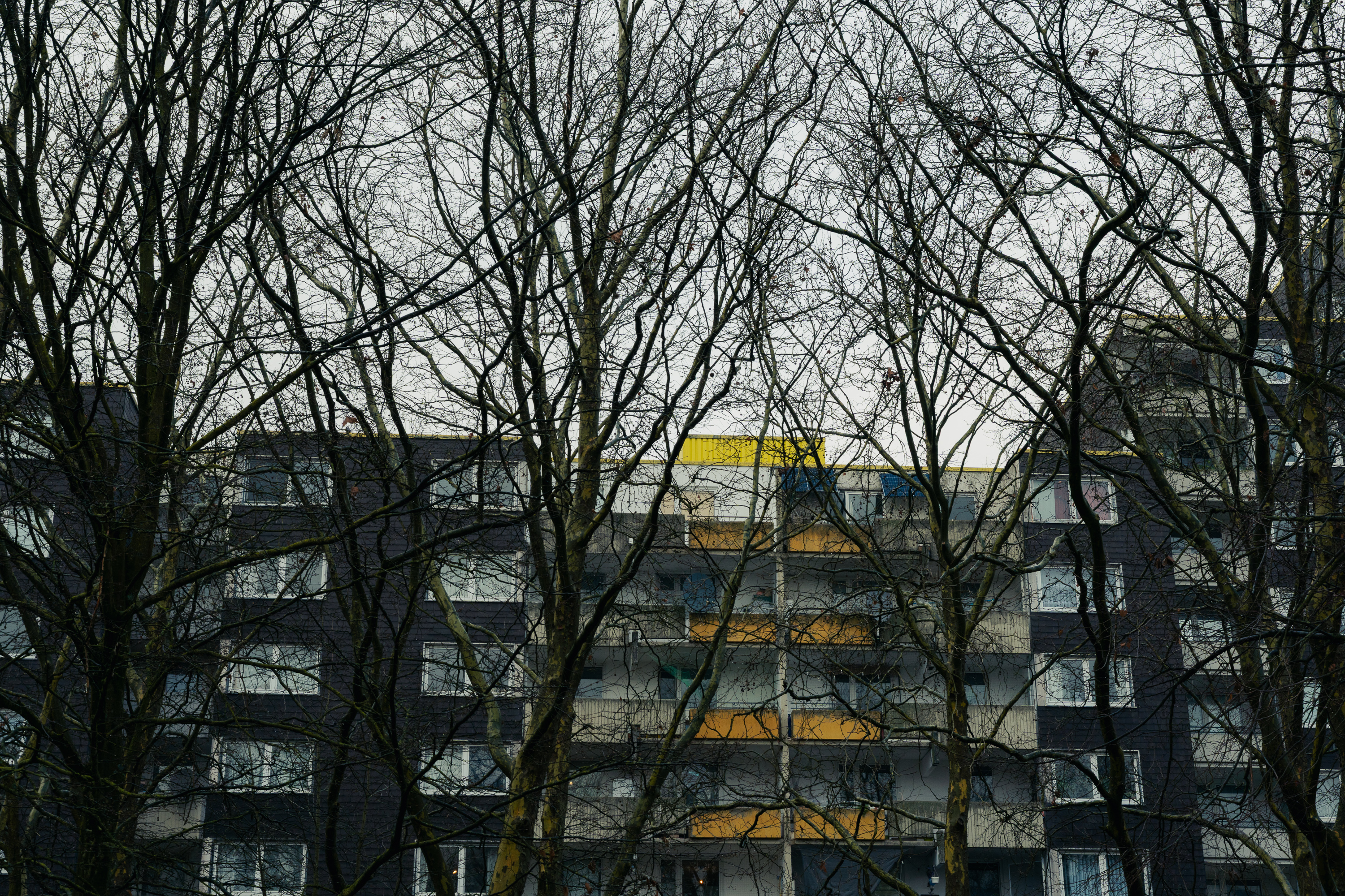 Seit die Häuser in der Schleife privatisiert wurden, verfallen die Wohnungen.